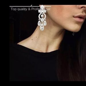 Earrings beautiful for any Occasion